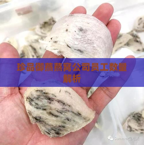 珍品御燕燕窝公司员工数量解析