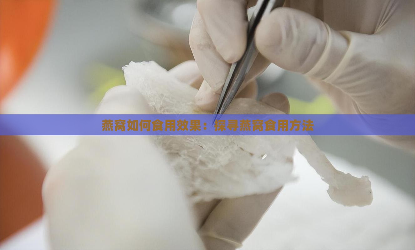 燕窝如何食用效果：探寻燕窝食用方法