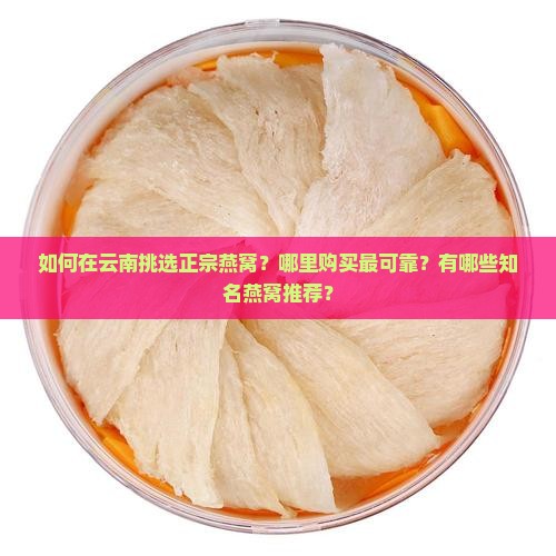 如何在云南挑选正宗燕窝？哪里购买最可靠？有哪些知名燕窝推荐？