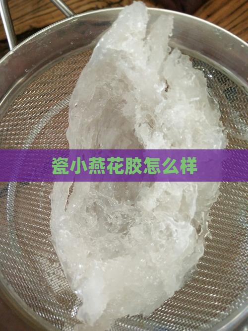 瓷小燕花胶怎么样