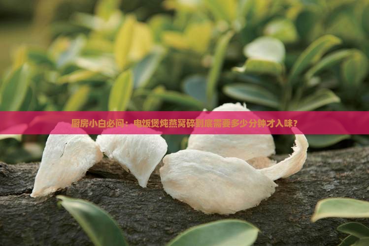 厨房小白必问：电饭煲炖燕窝碎到底需要多少分钟才入味？