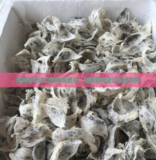 越南孕妇进口燕窝哪里买，越南燕窝进口渠道解析