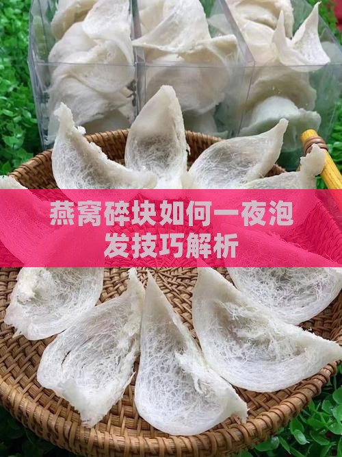 燕窝碎块如何一夜泡发技巧解析