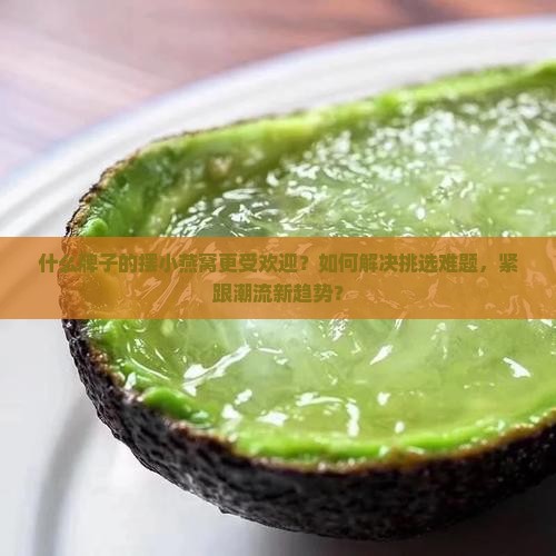什么牌子的摆小燕窝更受欢迎？如何解决挑选难题，紧跟潮流新趋势？