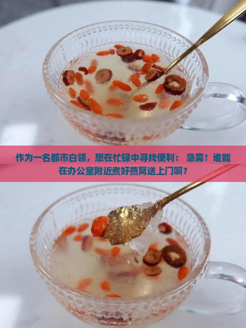 作为一名都市白领，想在忙碌中寻找便利： 急需！谁能在办公室附近煮好燕窝送上门啊？