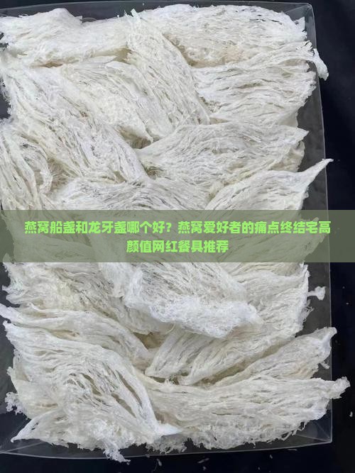 燕窝船盏和龙牙盏哪个好？燕窝爱好者的痛点终结宅高颜值网红餐具推荐