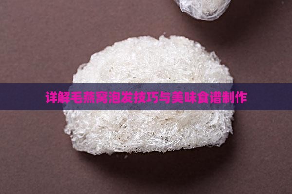 详解毛燕窝泡发技巧与美味食谱制作