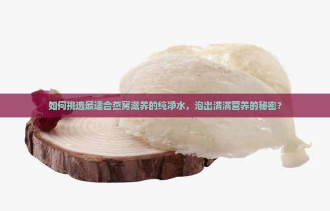 如何挑选最适合燕窝滋养的纯净水，泡出满满营养的秘密？