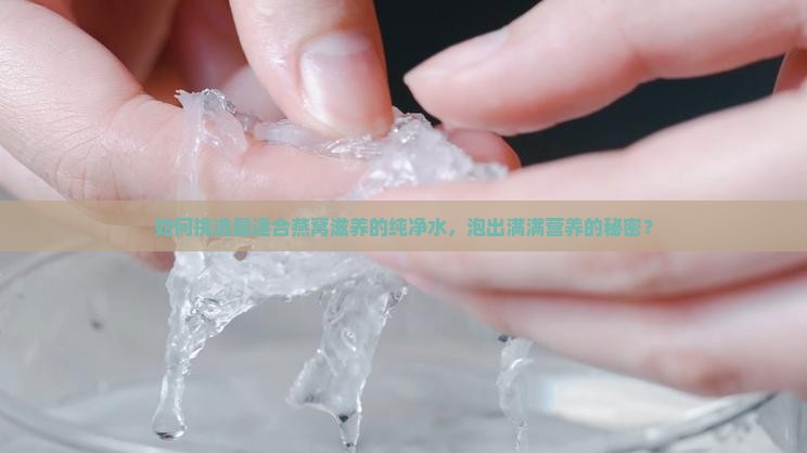 如何挑选最适合燕窝滋养的纯净水，泡出满满营养的秘密？