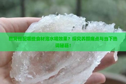 燕窝搭配哪些食材泡水喝效果？探究养颜痛点与当下热词秘籍！
