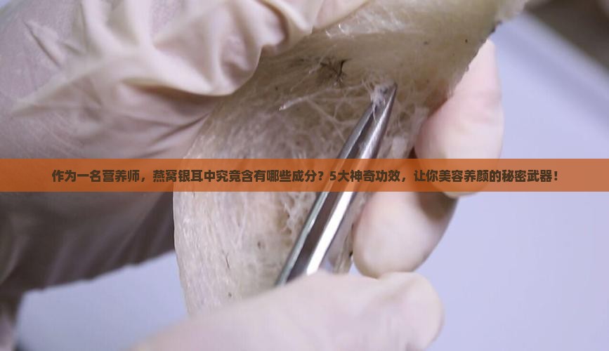 作为一名营养师，燕窝银耳中究竟含有哪些成分？5大神奇功效，让你美容养颜的秘密武器！