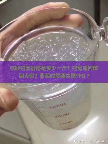 铁岭燕窝价格是多少一斤？燕窝如何辨别真假？购买时需要注意什么？
