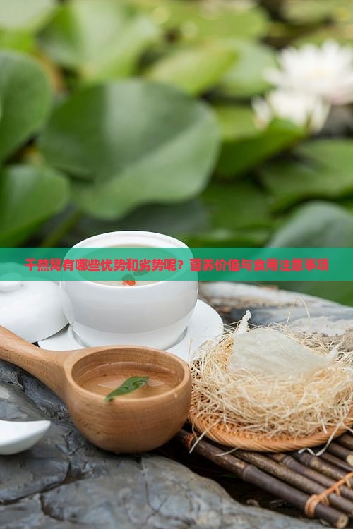 干燕窝有哪些优势和劣势呢？营养价值与食用注意事项