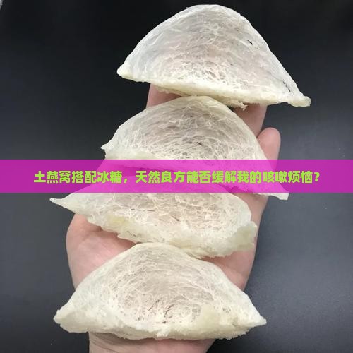 土燕窝搭配冰糖，天然良方能否缓解我的咳嗽烦恼？