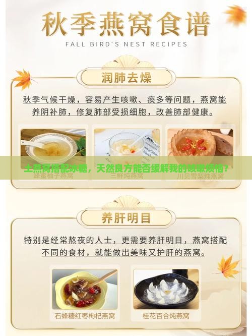 土燕窝搭配冰糖，天然良方能否缓解我的咳嗽烦恼？