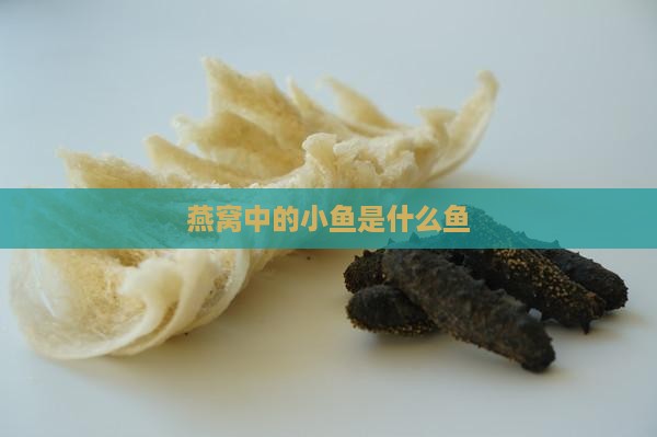 燕窝中的小鱼是什么鱼