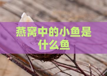 燕窝中的小鱼是什么鱼