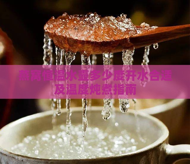 燕窝恒温水壶多少度开水合适及温度炖煮指南