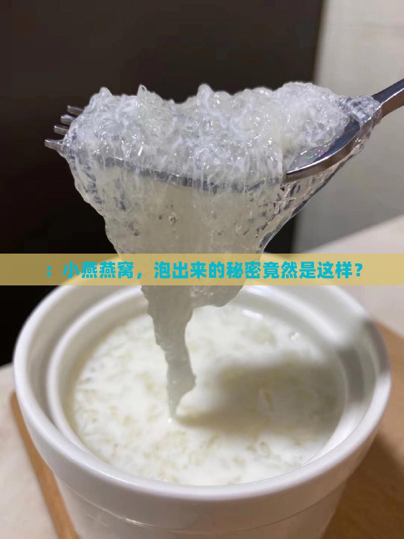 ：小燕燕窝，泡出来的秘密竟然是这样？