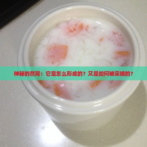 神秘的燕窝：它是怎么形成的？又是如何被采摘的？
