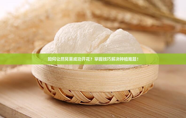 如何让燕窝果成功开花？掌握技巧解决种植难题！