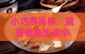 小巧燕窝杯，藏着哪些生活小确幸？