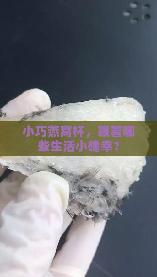 小巧燕窝杯，藏着哪些生活小确幸？