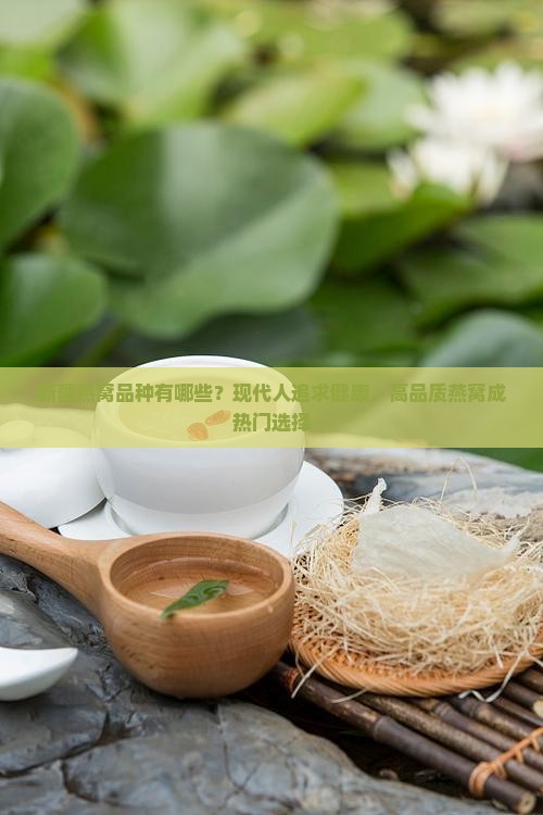 新疆燕窝品种有哪些？现代人追求健康，高品质燕窝成热门选择