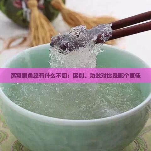 燕窝跟鱼胶有什么不同：区别、功效对比及哪个更佳