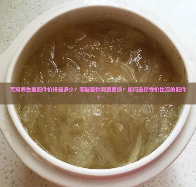 燕窝养生壶配件价格是多少？哪些配件需要更换？如何选择性价比高的配件？