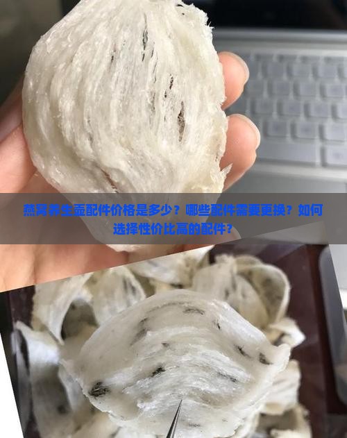 燕窝养生壶配件价格是多少？哪些配件需要更换？如何选择性价比高的配件？
