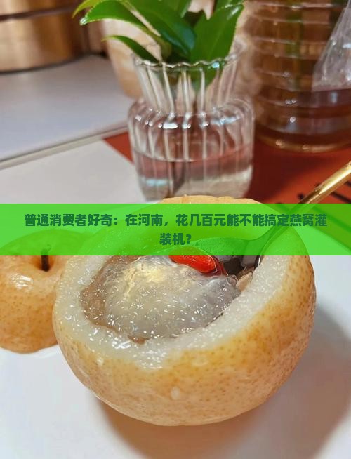 普通消费者好奇：在河南，花几百元能不能搞定燕窝灌装机？