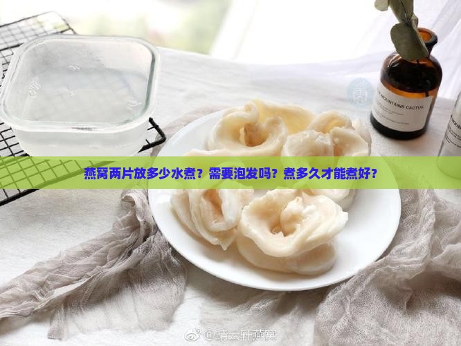 燕窝两片放多少水煮？需要泡发吗？煮多久才能煮好？