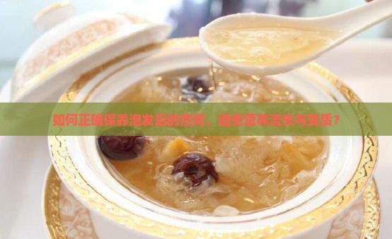 如何正确保养泡发后的燕窝，避免营养流失与变质？