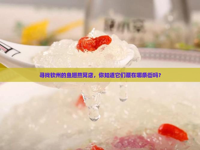 寻找钦州的鱼翅燕窝店，你知道它们藏在哪条街吗？
