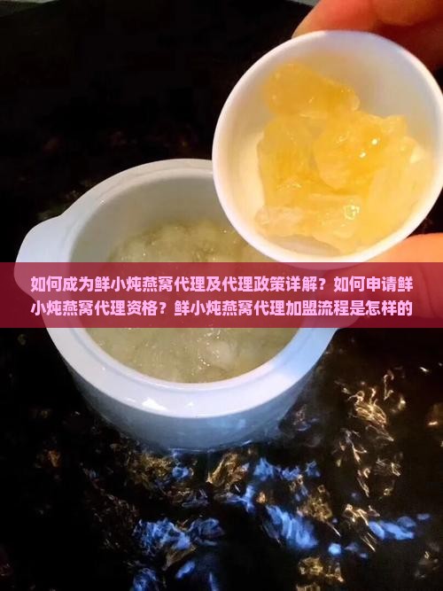 如何成为鲜小炖燕窝代理及代理政策详解？如何申请鲜小炖燕窝代理资格？鲜小炖燕窝代理加盟流程是怎样的？