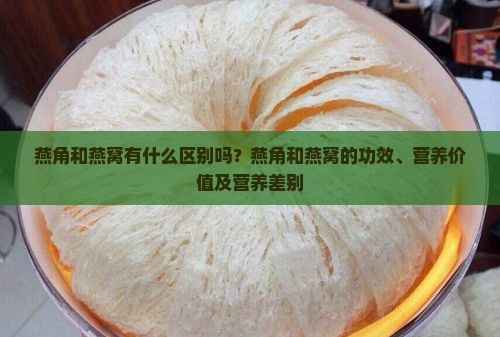 燕角和燕窝有什么区别吗