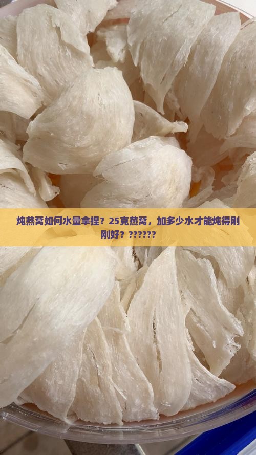 25克燕窝放多少水炖好
