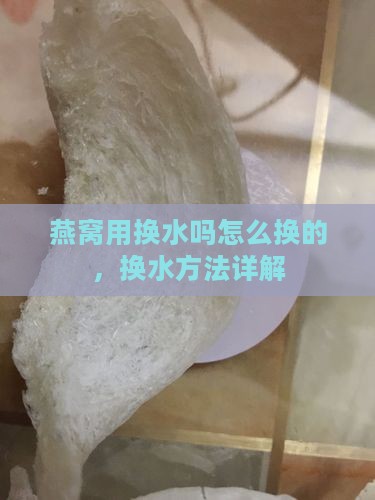 燕窝用换水吗怎么换的