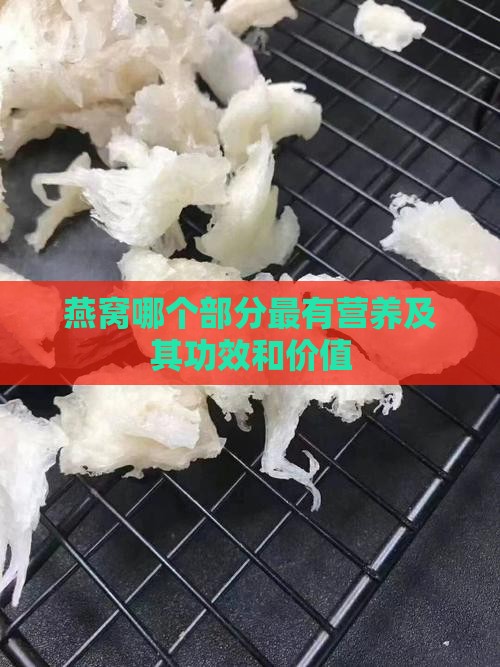 燕窝哪个部分最有营养