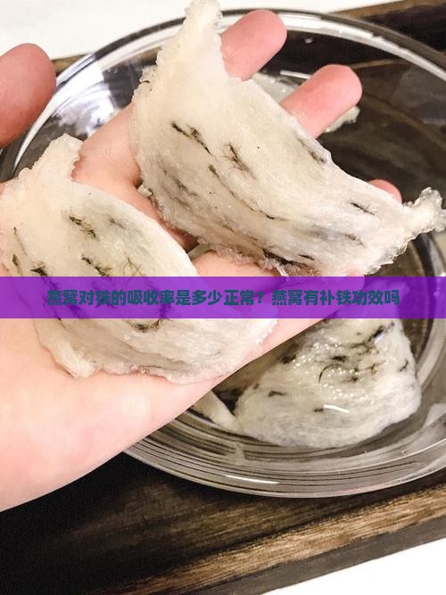 燕窝对铁的吸收率是多少