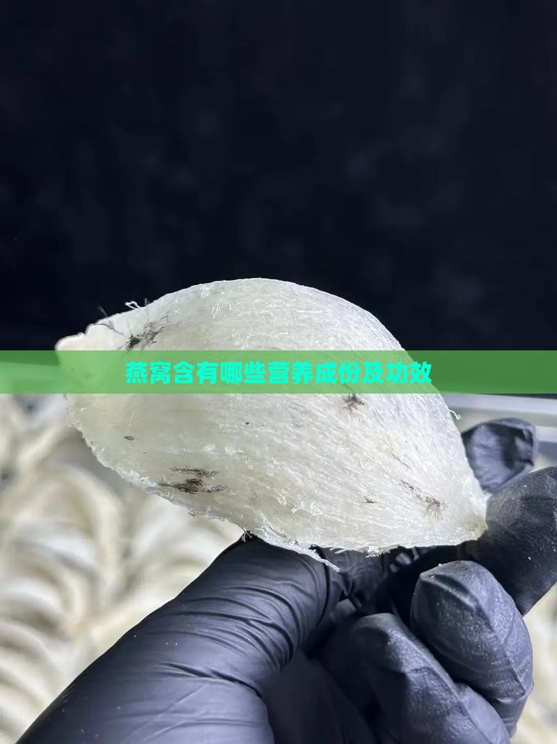 燕窝含有哪些营养成份