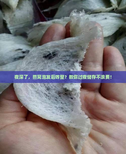 燕窝泡发后如何过夜储存