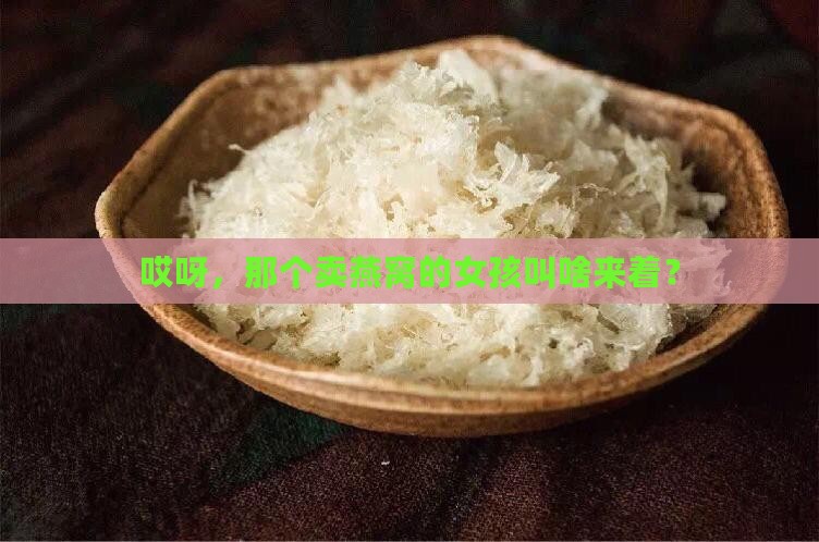 卖燕窝的女孩叫什么来着