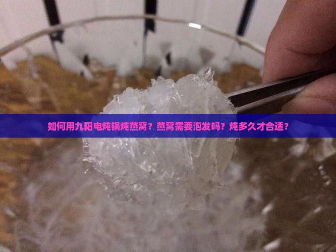 如何用九阳电炖锅炖燕窝