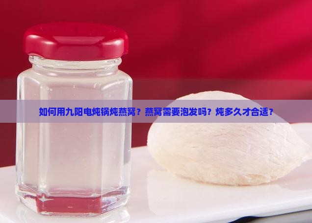 如何用九阳电炖锅炖燕窝