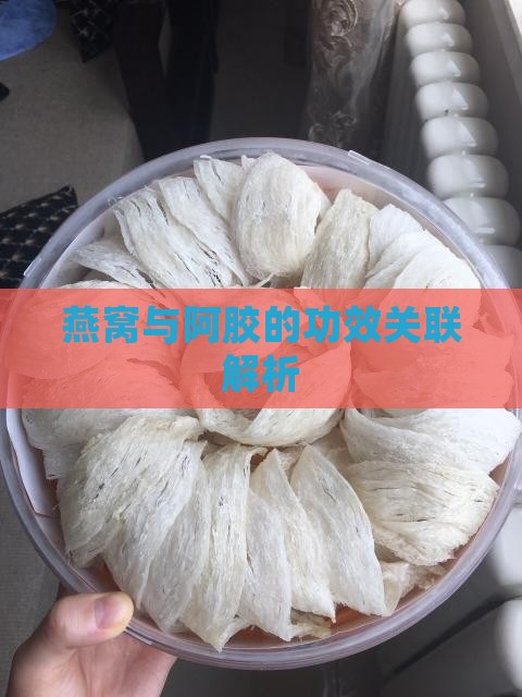 阿胶和燕窝是什么关系