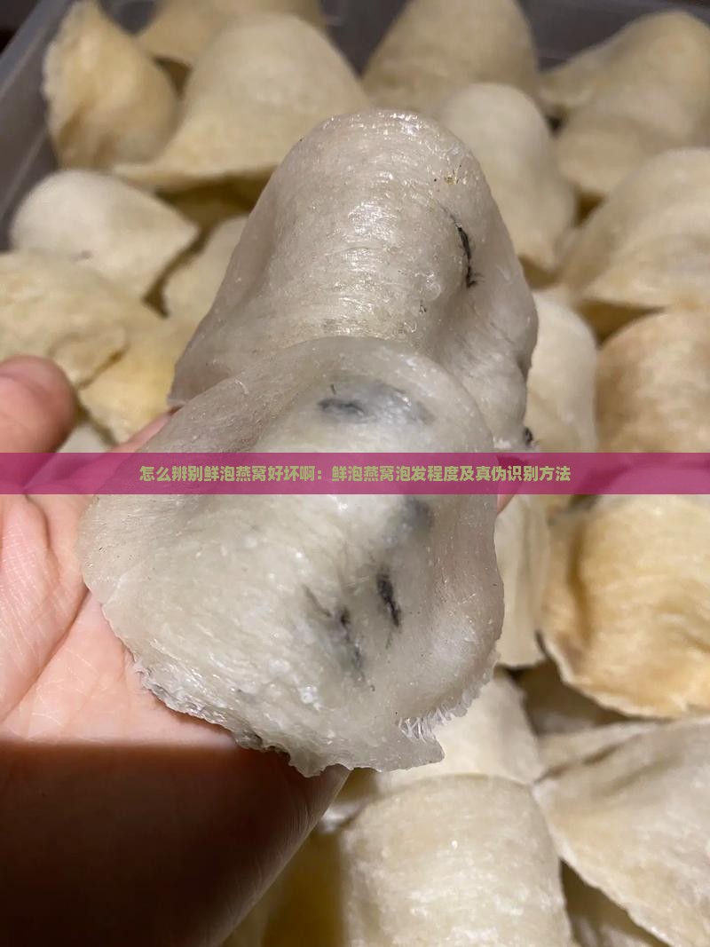 怎么辨别鲜泡燕窝好坏啊