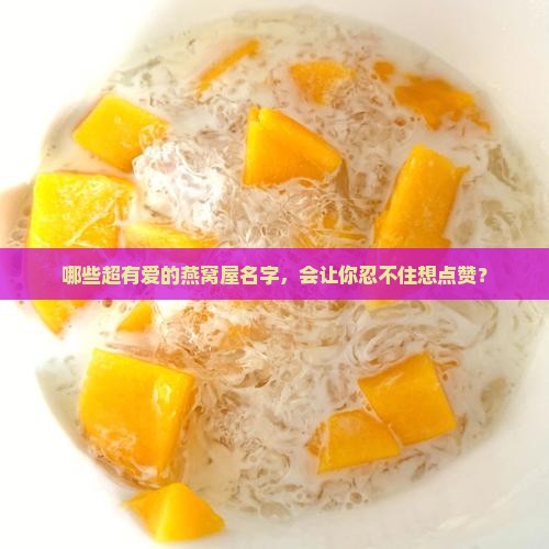 燕窝屋的名字有哪些呢