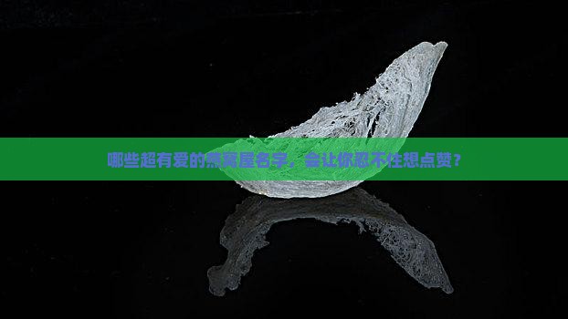 燕窝屋的名字有哪些呢